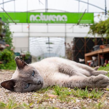 Naturena Agro-Turismo Durraes ภายนอก รูปภาพ