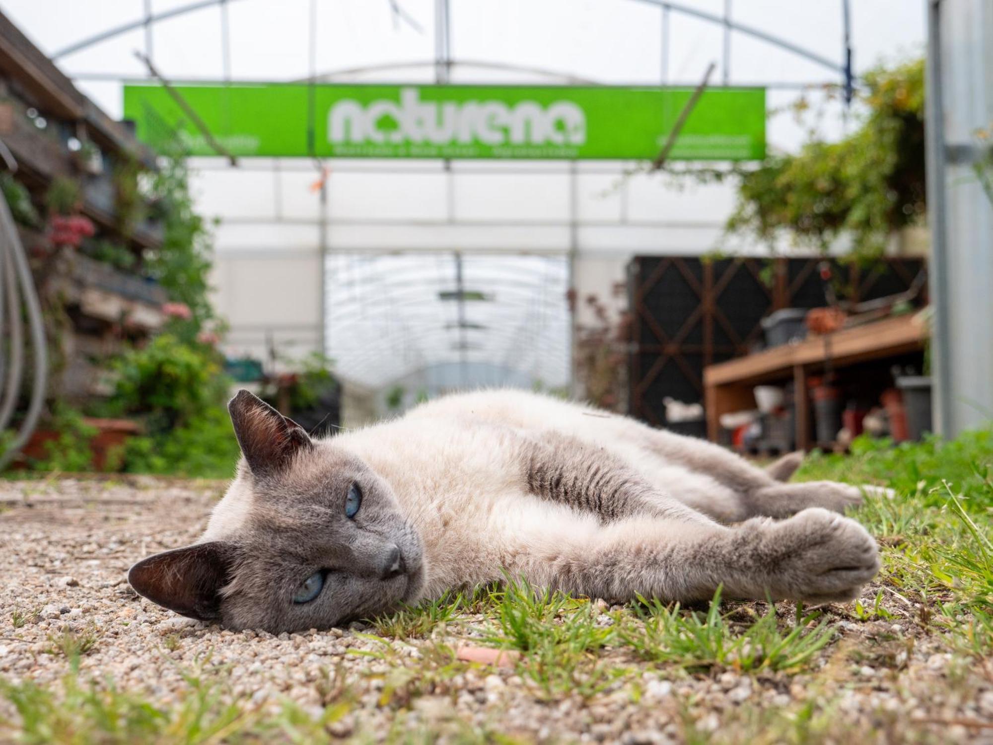 Naturena Agro-Turismo Durraes ภายนอก รูปภาพ