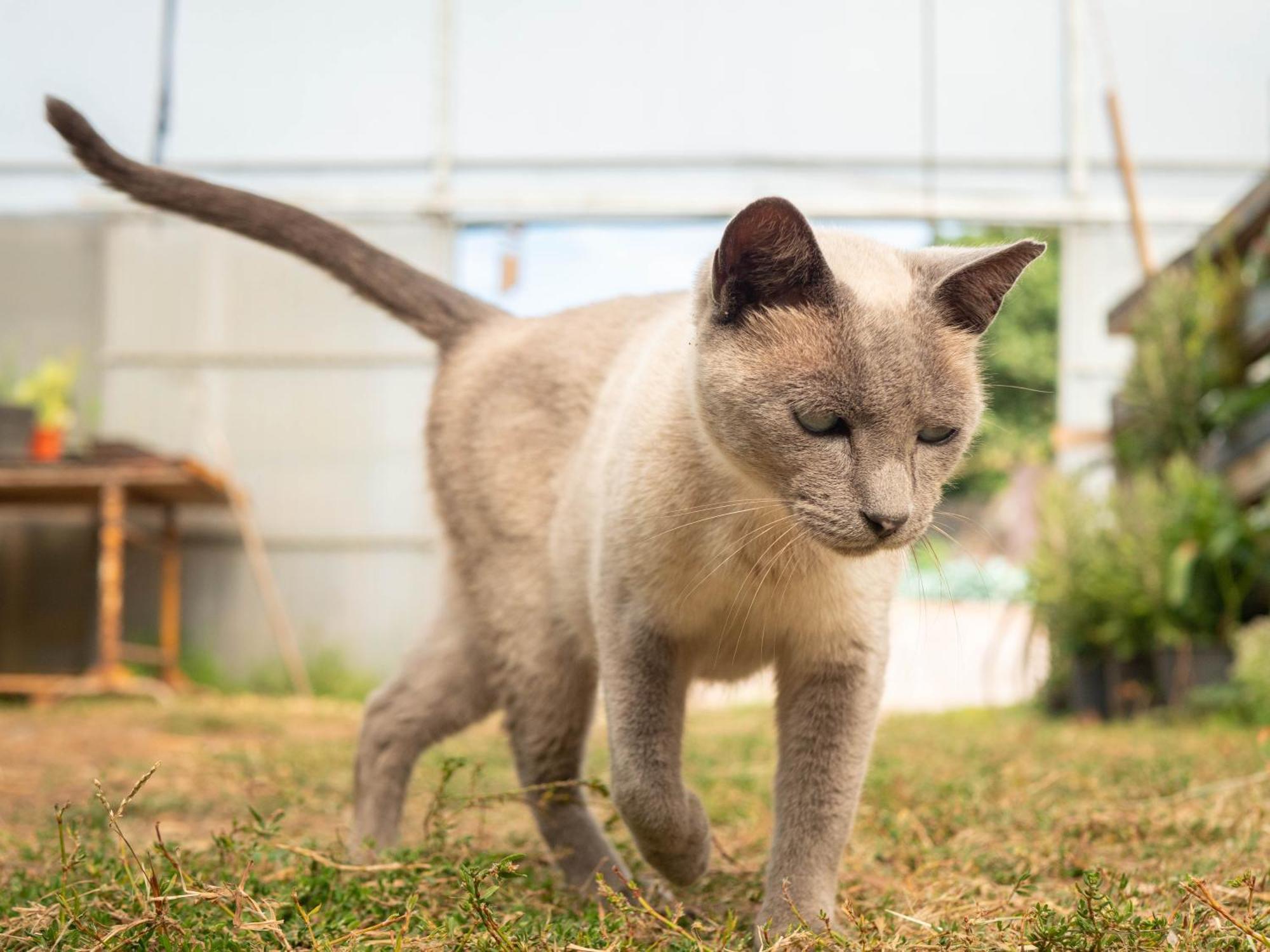 Naturena Agro-Turismo Durraes ภายนอก รูปภาพ